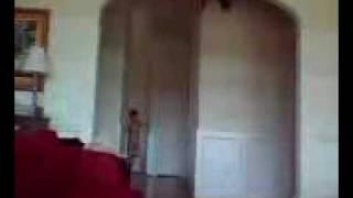 Lil kid running naked from dog