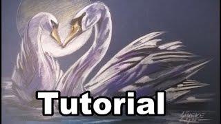 How to draw a Swan  animal drawings  #32