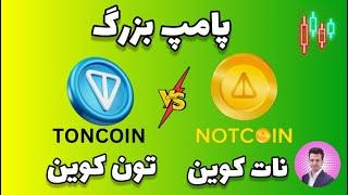 رشد نات کوین یا تون کوین  not cointon coin 