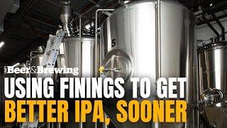 Brewing Tip Using Finings to Get Better IPA Sooner