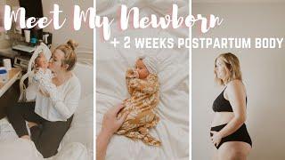 Meet My Newborn  & two weeks postpartum body c-section recovery