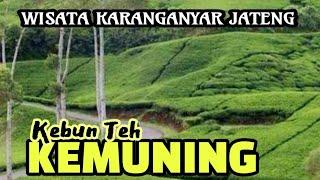 KEBUN TEH KEMUNING SURGA WISATA KARANGANYAR ep.1