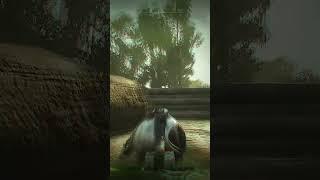 месть из могилы  #huntshowdown #хант #huntshowdownclips #хантшовдаун