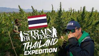 Strain Hunters Thailand Expedition FULL DOCUMENTARY