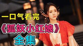 最新漫改神剧！杨幂饰演涂山红红，上演高冷小狐娘！一口气看完《狐妖小红娘月红篇》全集