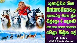 කුණාටුවක් නිසා අතහැරල ආපු බල්ලො 8 දෙනාට වෙලා තිබුන දේ  එයිට් බිලෝ Review  Eight Below Movie