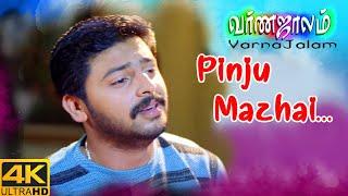 Varnajalam Movie Songs  Pinju Mazhai Song  Srikanth  Sadha  Kutty Radhika  Vidyasagar