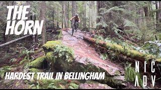 The Horn Bellingham Washington  First Lap trail review