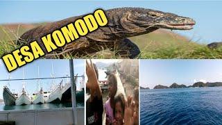 Tour Kampung Komodo  Pulau Komodo  Manggarai Barat