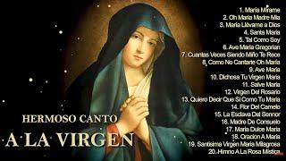 20 Mejores Canciones Alabando A Nuestra Madre  CANCIONES A LA VIRGEN MARIA