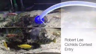 Robert Lee Cichlids Water Change Package Giveaway