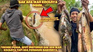 BERBURU IKAN BABON DI SPOT MISTERIUS UNTUK BUKA PUASA