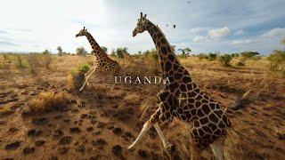 UGANDA from Above  African Wildlife with an FPV drone