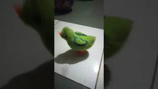 A cute jumping toy