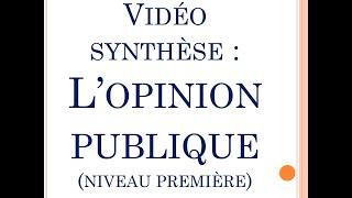 SES - Vidéo synthèse chapitre Comment se forme et sexprime lopinion publique ? Première