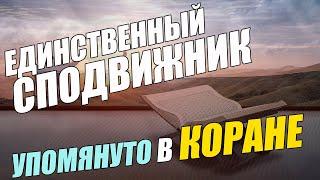 Единственный сподвижник чьё имя упомянуто в Коране \ Исламдаг.ру