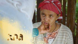 ሙሉ ክፍል 5 – አደይ  ምዕራፍ 1  ክፍል 5  አቦል ቲቪ – Adey  Season 1  Episode 5  Abol TV