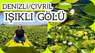 ÇİVRİL IŞIKLI GÖL  NİLÜFER MEVSİMİ  DENİZLİ ÇİVRİL IŞIKLI GÖL TEKNE TURU