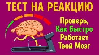 Тест на Скорость Реакции Или Как Быстро Работает Ваш Мозг