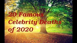 20 Famous Celebrities Who Died in 2020
