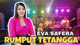 RUMPUT TETANGGA LIVE COVER EVA SAFERA - DUTA BOSS MUDA LIRIK LAGU