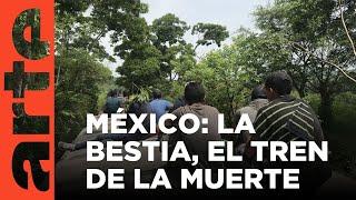 México La Bestia el tren de los migrantes 2018  ARTE.tv Documentales