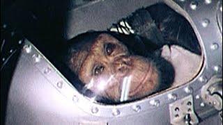 Sad Story of Ham the First Chimpanzee in Space