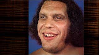 Andre The Giant  Best Moments