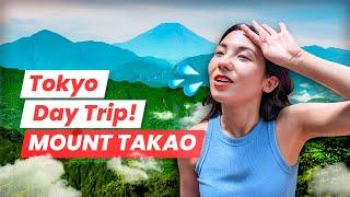 Tokyo Nature Adventures Japanese BBQ on Top of Mount Takao – The Perfect Summer Escape