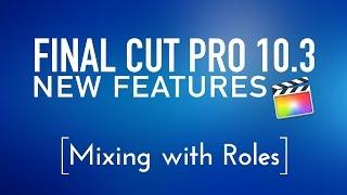 Final Cut Pro 10.3 New Features Lesson 4 Mixing with Roles