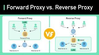 Proxy vs Reverse Proxy Real-world Examples