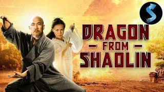 Dragon from Shaolin  Full Kung Fu Action Movie  Richard Kong  Li Ying Ying  Bruce Cheung