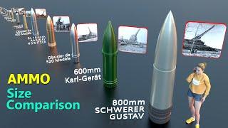 Smallest to Historical Largest Ammunition Size Comparison