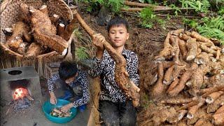 Full video Harvesting vegetables and fruits to sell - The off-grid life of orphan boy NAM