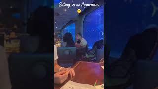 Eating in an Aquarium #travel #unique #aquarium #travelvlog #roadtrip