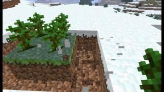 Jak zrobić duże Tropikalne Drzewo w Minecraft?