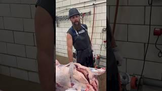 Want to know where brisket comes from on a beef carcass?  #shorts #beef #brisket #bbq