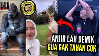 PERTAMA KALI  REACTION DEMIK ANIMAL GELAS2 SAMPE PECAH‼️..REACT MEME KOCAK