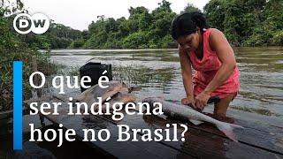 Documentário  A luta do povo Karipuna para não desaparecer na Amazônia