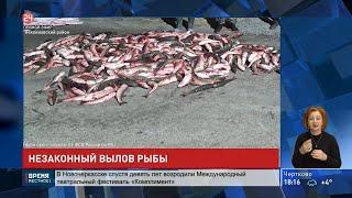 Рыбу из Красной книги ловили браконьеры в Таганрогском заливе