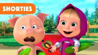 Masha and the Bear Shorties  NEW STORY  Come on lets share Episode 20 