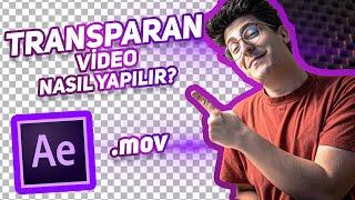 HOW TO Create .mov TRANSPARENT Video  After Effects Lessons