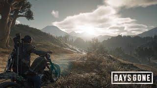 Days Gone - сюжеточка часть 3