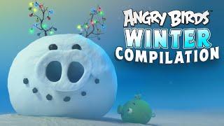 Angry Birds  Winter Fun Compilation ️