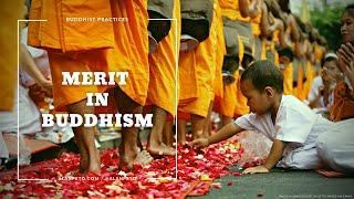 The Practice of Buddhist Merit Cultivation