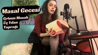 Fairy Tale Night  Grimms Tale Three Snake Leaves HD #asmr