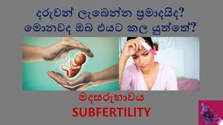 දරුවන් ලැබෙන්න ප්‍රමාදයිද? මොනවද ඔබ එයට කල යුත්තේ? මදසරුභාවය Subfertility in sinhala
