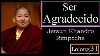 31-Ser Agradecido-Jetsun Khandro Rinpoche-31 Lojong