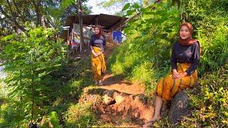 WOWW...BIKIN MATA SUSAH BERKEDIP MELIHAT KECANTIKAN NENG ENCI JANDA DESA YG TINGGAL DI HUTAN