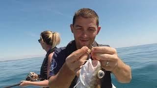 Sea Fishing Cornwall - Mixed Species fishing with the family.